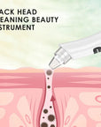 3 Suction Mode Face Cleansing Beauty Machine